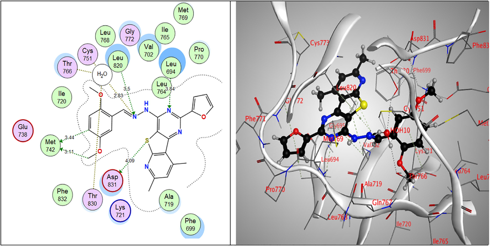 2D & 3D interactions of 7c within EGFRWT active site.