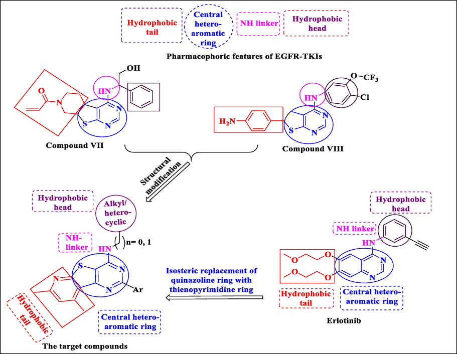 The proposed hypothetic model of the new pyridothieno[3,2-d]pyrimidine target derivatives as EGFR TKIs.