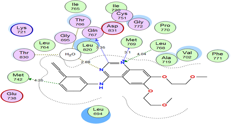 2D interactions of ERL within EGFRWT active site.