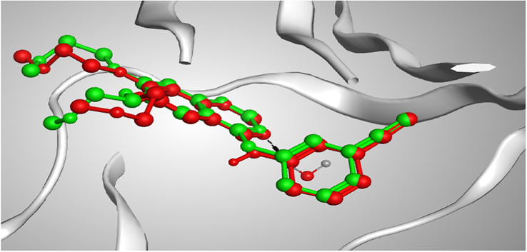 3D representation of the superimposition of the co-crystallized (red) and the docking pose (green) of erlotinib in the active site of EGFRWT enzyme.