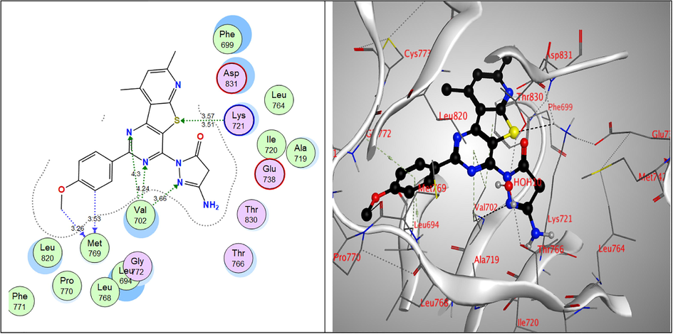 2D & 3D interactions of 9a within EGFRWT active site.