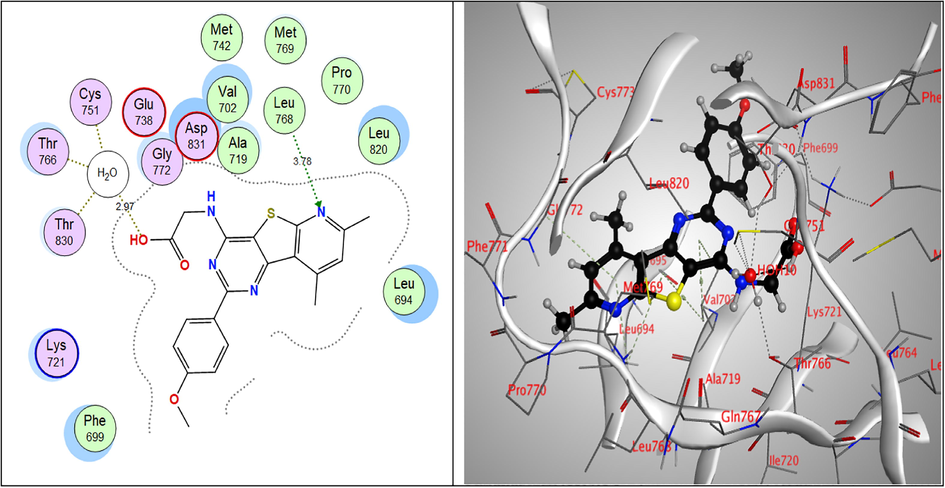 2D & 3D interactions of 6a within EGFRWT active site.