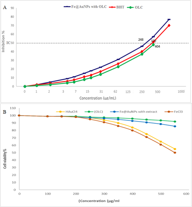 (A) Antioxidant potential of Fe@AuNPs with extract, (OLC), and BHT (Butylated hydroxyltoluene) and (B)Percent viability measured on human umbilical vein endothelial cells after treatment with present Fe@AuNPs with extract, (OLC), HAuCl4 and FeCl3.