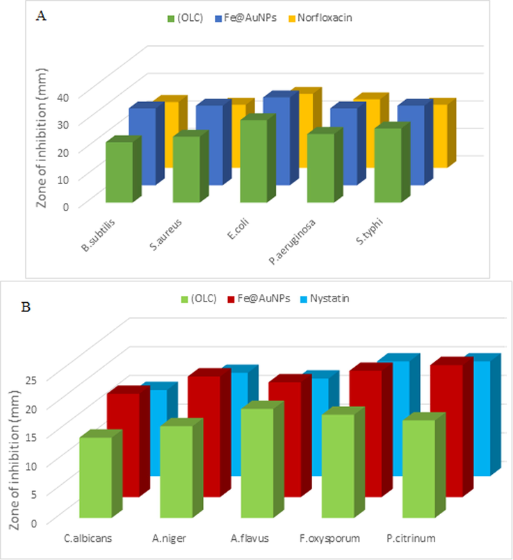 (A) Antibacterial activity of (OLC) extract and Fe@AuNPs and (B)Antifungal activity of (OLC) extract and Fe@AuNPs.