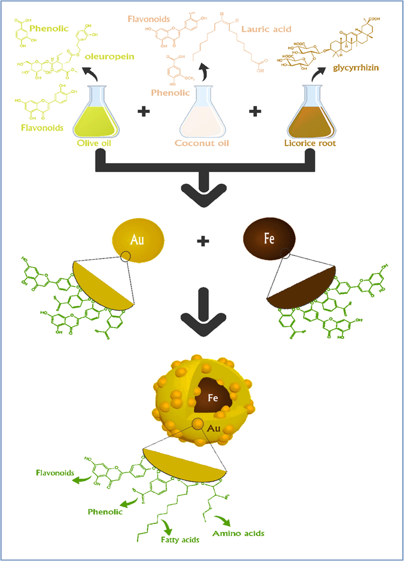 A schematic of the OLC-Fe@AuNPs.