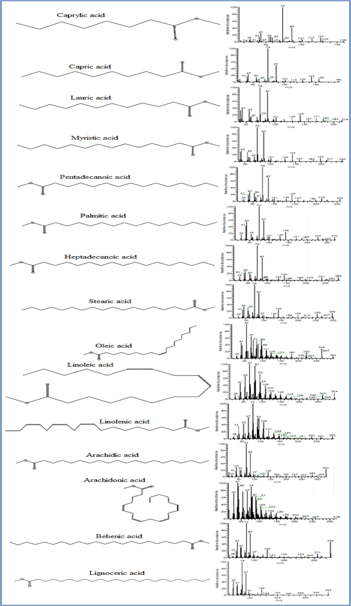 Mass Fragmentation and Chemical structure of the main fatty acid compounds in the Olive oil, Coconut oil and Licorice root.