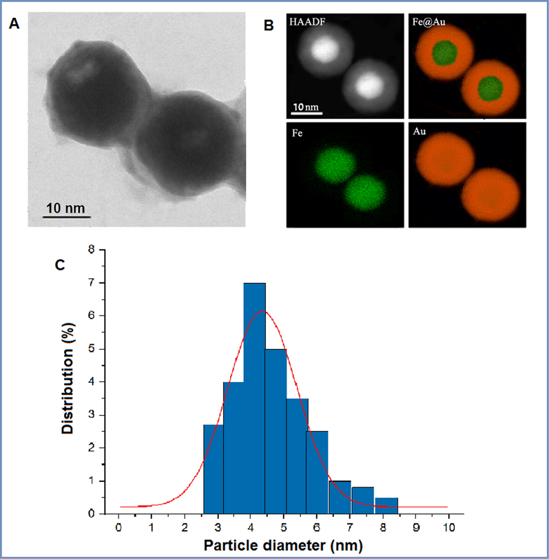 (A) HR-TEM image of spherical Fe@AuNPs, (B) HAADF-STEM images of the Fe@AuNPs and the elemental mapping images and (C) Size distributions of Fe@AuNPs.