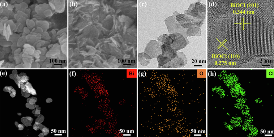 SEM images of (a) BiOCl, (b) BiOCl/CNC, TEM images of (c) BiOCl/CNC, HRTEM images of (d) BiOCl/CNC; Element mapping of Bi, O and Cl for BiOCl/CNC composite (e-h).