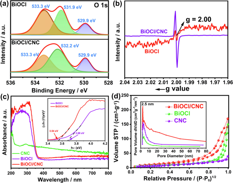 (a) XPS spectra in the O1s region of BiOCl and BiOCl/CNC. (b) ESR spectra of BiOCl and BiOCl/CNC. (c) UV–vis absorption spectra of the samples (inset: plot of bandgap). (d) Nitrogen adsorption–desorption isotherms (insert: pore size distribution).