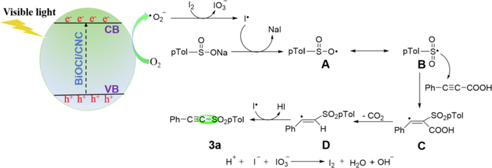 Proposed mechanism of sulfonylation of arylacetylenic acid with sodium arylsulfinate over BiOCl/CNC.