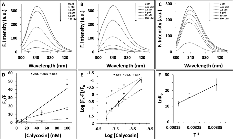 Fluorescence quenching study of cyclin D1 in the presence of increasing concentration of calycosin at (A) 29 K, (B) 310 K, (C) 315 K. (D) Stern-volmer plot of cyclin D1 in the presence of increasing concentration of calycosin. (E) Modified Hill plot of cyclin D1 in the presence of increasing concentration of calycosin. (F) van't Hoff plot of cyclin D1 in the presence of increasing concentration of calycosin.