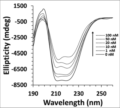 Far-UV CD study of cyclin D1 in the presence of increasing concentration of calycosin.