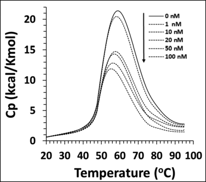 Differential scanning calorimetry (DSC) profile of cyclin D1 in the presence of increasing concentration of calycosin.