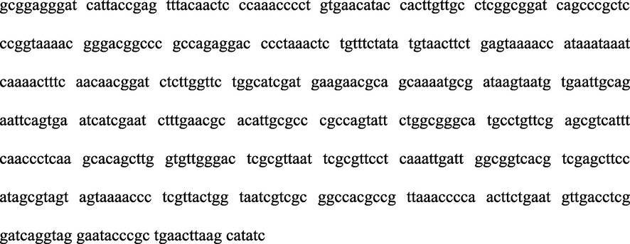 Sequence analysis of the ITS1-5.8S rRNA–ITS2 region of F. oxysporum.
