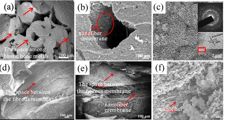 SEM morphology of biomineralization products deposite on macro-micro structures of bionic scaffold (a- Biomineralized scaffolds and the space among bionic bone motif; b- Bionic bone motif; c- Biomineralization products SEM morphology, diffraction pattern of TEM, HRTEM and SAED; d, e- Between nanofiber membrane layers and on nanofiber membrane; f-Nanofibers).