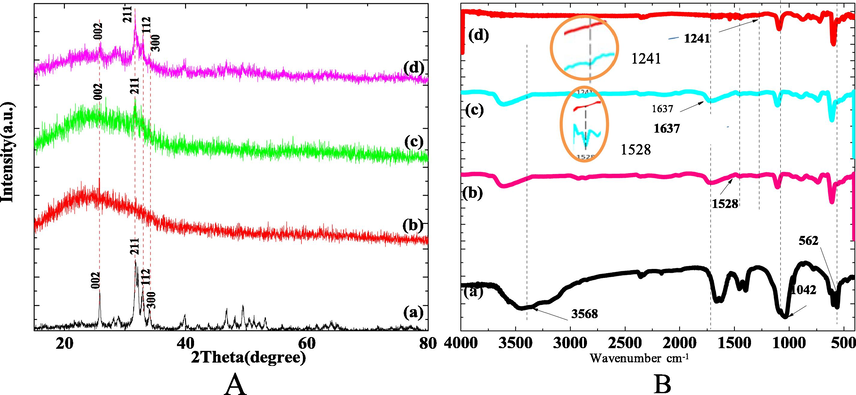 XRD and FITR profile of Col/HA composite scaffold biomineralized for 6 h (a- HA powder; b- Col; c- Col/HA; d-Col/HA composite scaffold biomineralization for 6 h).