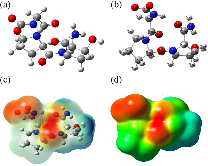 Simplified Model of Col (a- Optimized atomic structure diagram; b- Atomic charge structure diagram; c- Electron cloud distribution perspective; d- Electrostatic potential diagram).