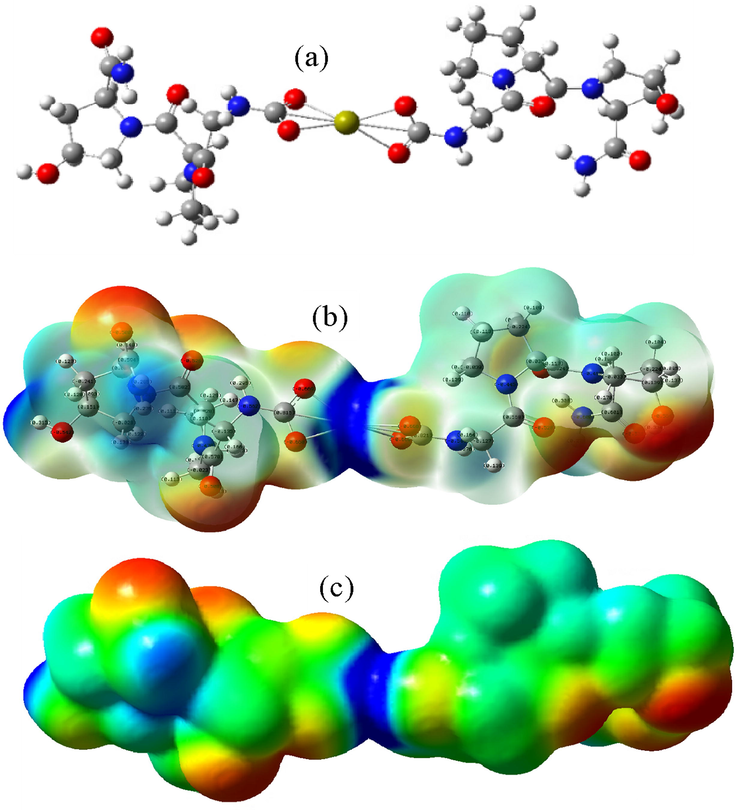 The model of carboxyl group binding to Ca2+ (a- Atomic geometric structure diagram; b- Atomic structure electron cloud distribution perspective; c-Electrostatic potential diagram).