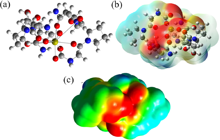 The model of the mixture of carboxyl and carbonyl groups with Ca2+ binding Optimized atomic geometric structure diagram; b- atomic charge distribution perspective; c- electrostatic potential diagram).