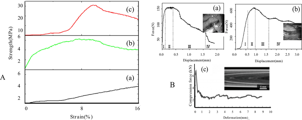 The stress-strain curve and Force and displacement curve of the scaffolds (A- (a- Non-bionic bone structure scaffold, b- Bionic bone structure scaffold, c- The bionic mineralized structure scaffold), B- Force and displacement curve (a- Before biomineralization, b- After biomineralization, c- HM of the sea urchin(Toader et al., 2017))).