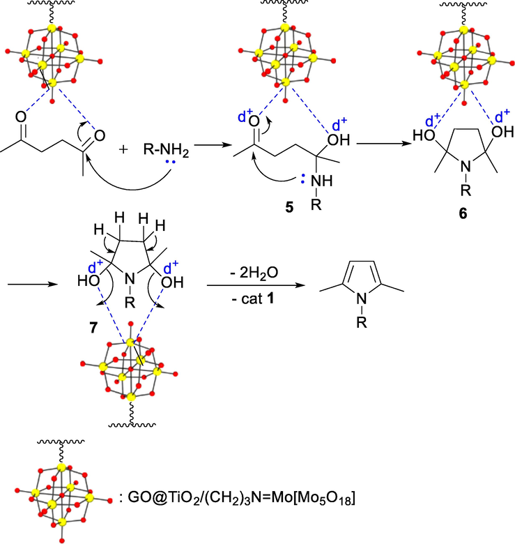 Reasonable mechanism for Paal-Knorr reaction using nanocatalyst 1.