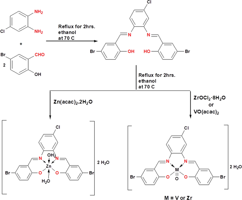 Synthetic strategy for the preparation of the H2L ligand and its complexes.