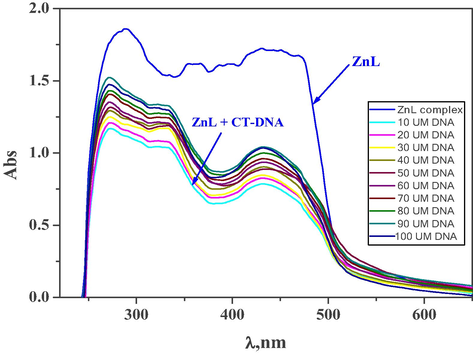 The change of electronic absorption spectra of ZnL(H2O)2 complex (10−3 M) upon addition of various amounts of CT-DNA (10–100 μ  M).