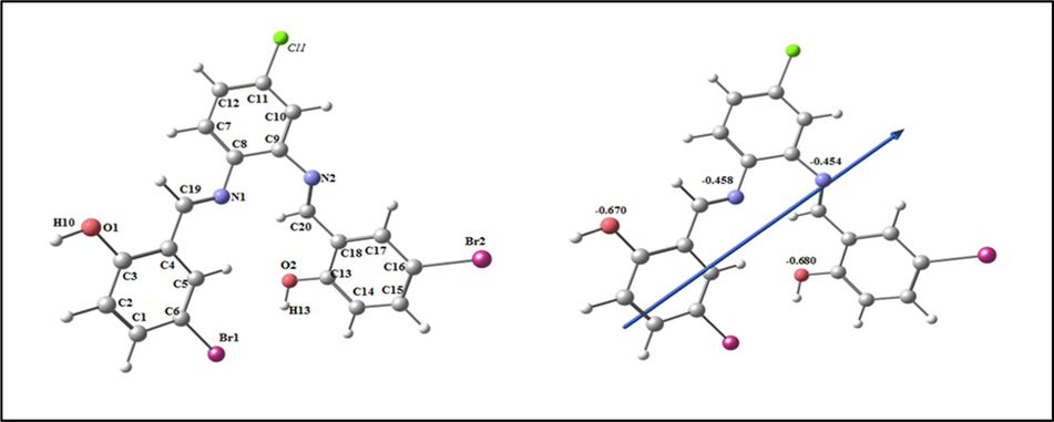 The optimized structure of ligand H2L, the vector of the dipole moment, and the natural charges on active centers.