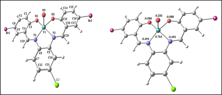 The optimized structure and the natural charges on active centers of VOL.