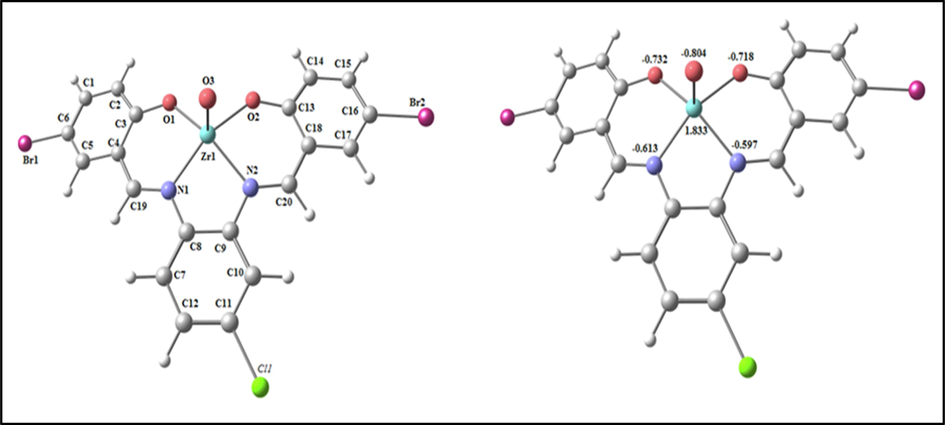 The optimized structure and the natural charges on active centers of ZrOL.