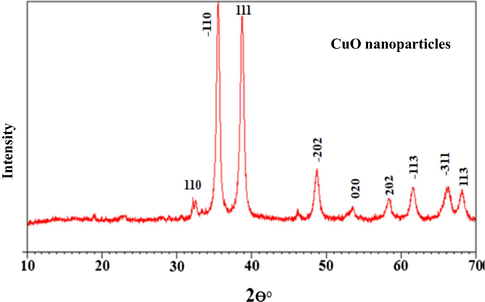 XRD pattern of the CuO NPs.