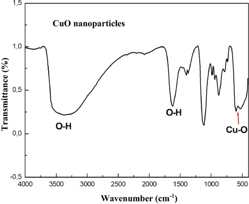 FT-IR spectra of CuO NPs.