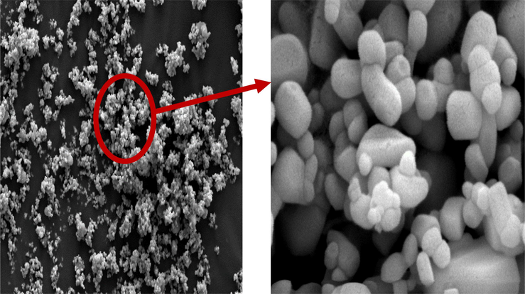 SEM images of CuO NPs.