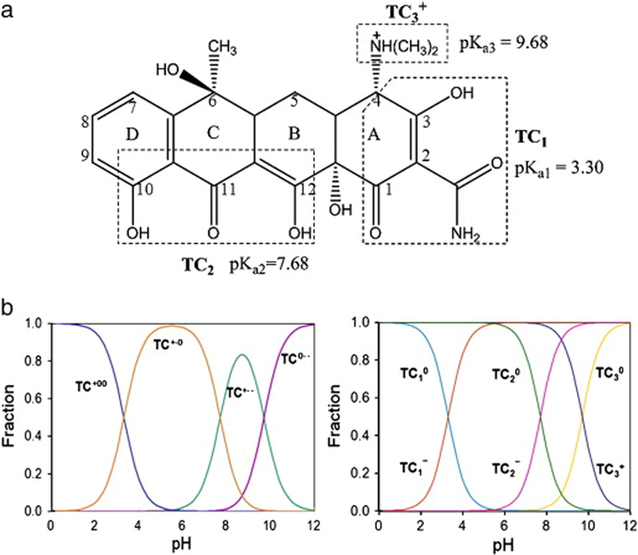 Multiform of (a) TC and (b) pH-dependent speciation of TC (Zhao et al., 2011). Copyright 2021, Springer.