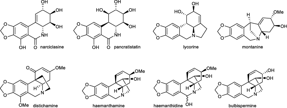 Amaryllidaceae alkaloids with interesting cytotoxic activity.