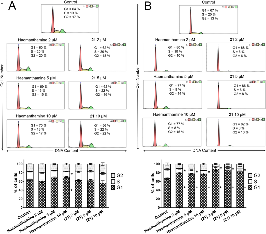 Analysis of the cell cycle of A549 cells 24 h (A) and 72 h (B) after the application of either haemanthamine (1) or 21. The figure shows representative histograms of human A549 lung carcinoma cells with the mean percentage of cells cycling through phases G1, S, and G2 from flow cytometry measurement of three separate treatments. The bar graph summarizes cumulative data on the percentage of cells in each phase of the cell cycle. Data are presented as mean values ± SD, n = 3. *Significantly different to control (P ≤ 0.05).