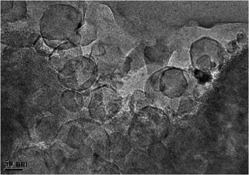 TEM image of 0.50 wt% FR-900 friction reducer, 50 μm.