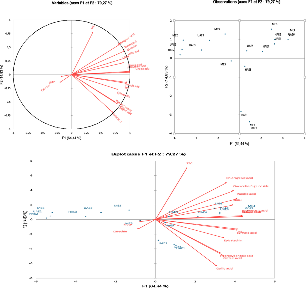 PCA biplot of the extracts obtained from C. micranthum with NADESs and conventional solvents combined with ME, UAE and HAE.