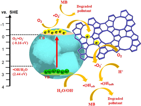 Proposed mechanism of photodegradation of MB using 10% TiO2/ZSM-5.