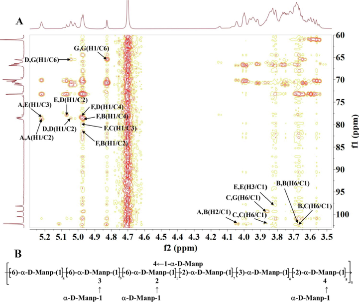 HMBC spectrum (A) and predicted structure (B) of PEP-1A.