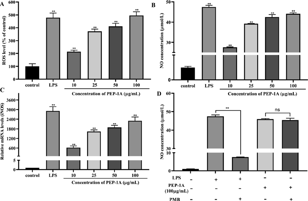 Effect of PEP-1A on ROS production (A), NO production (B), relative mRNA expression of iNOS (C) and the effect of PMB on NO production (D). *p < 0.05, **p < 0.01, ns = no significance.