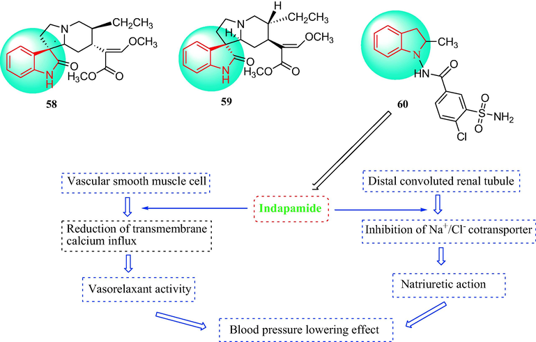 The chemical structures of indole derivatives 58–60 and the mechanisms of 60.