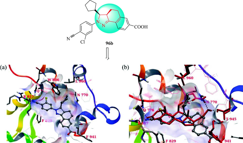 Induced-fit model of 96b din MR: (a) ball and stick, showing residues L960 (helix12), F941 (helix11), N770 (helix 3), Q776 and R817 (ketosteroid recognition), and F829, tube; (b) overlay of native crystal MR/corticosterone crystal structure 2A3I(red)with the 56-MR induced-fit model.