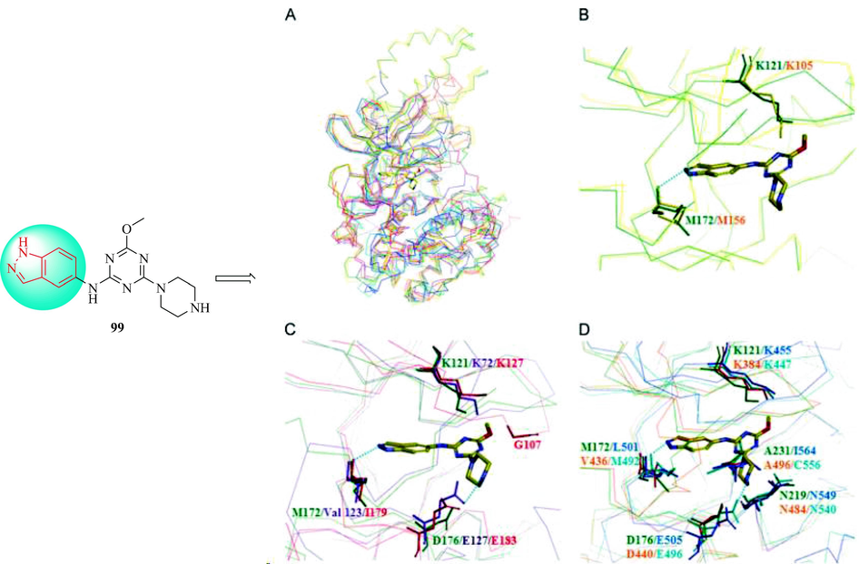 Modeling of 99 with Rho kinase 2 (pdb entry; 2H9V) and Rho kinase 1 (pdb entry: 3NCZ), mitogen- and stress-activated protein kinase 1 (pdb entry: 3KN5), protein kinase A (pdb entry: 3POO), protein kinase Cη (pdb entry: 3TXO), p90 ribosomal S6 kinase 1 (pdb entry: 2WNT), and serum- and glucocorticoid-induced protein kinase (pdb entry: 3HDM).