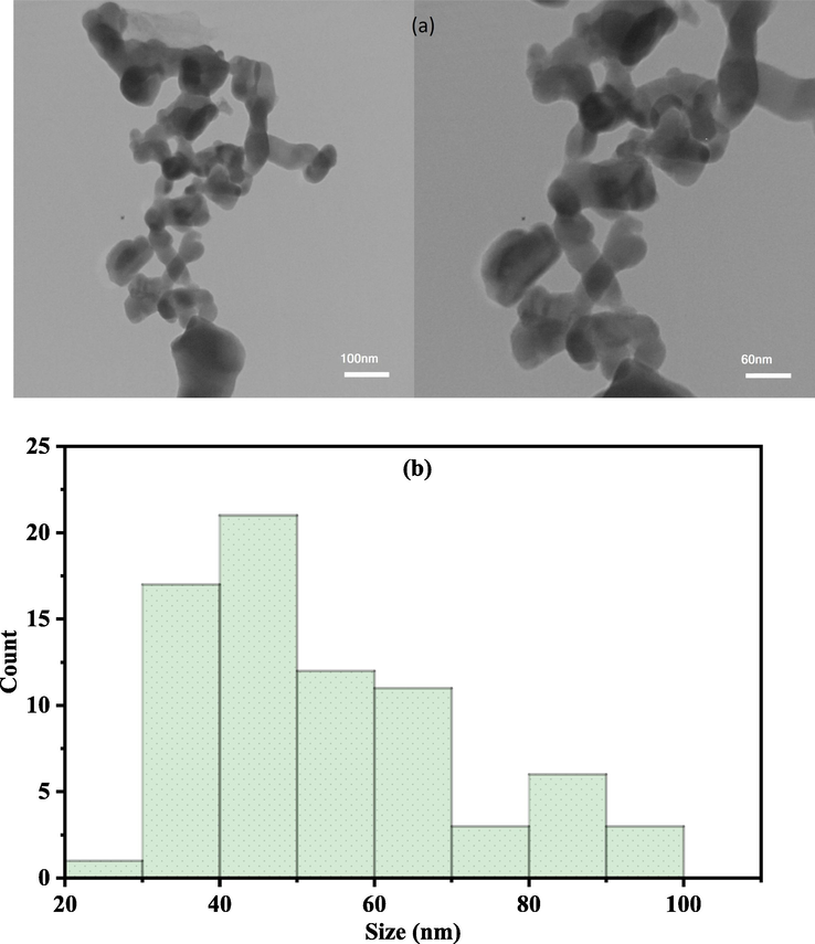 TEM image of AuNPs (a) and histogram of the size distribution (b).