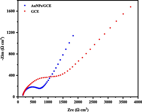 Nyquist plots for GCE and AuNPs/GCE in the presence of 5.0 mM of K4Fe(CN)6/K3Fe(CN)6 in 0.1 M KCl solution, AC amplitude:5.0 mV, DC potential: +250 mV and frequency range: 10 kHz–100 mHz.