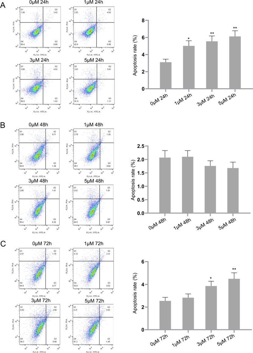 IP6 induces apoptosis in Raji cells as evidenced by Annexin V-FITC/PI staining using flow cytometry. P value of<0.05 (*P < 0.05, **P < 0.01, compared with the control group) are considered significant.