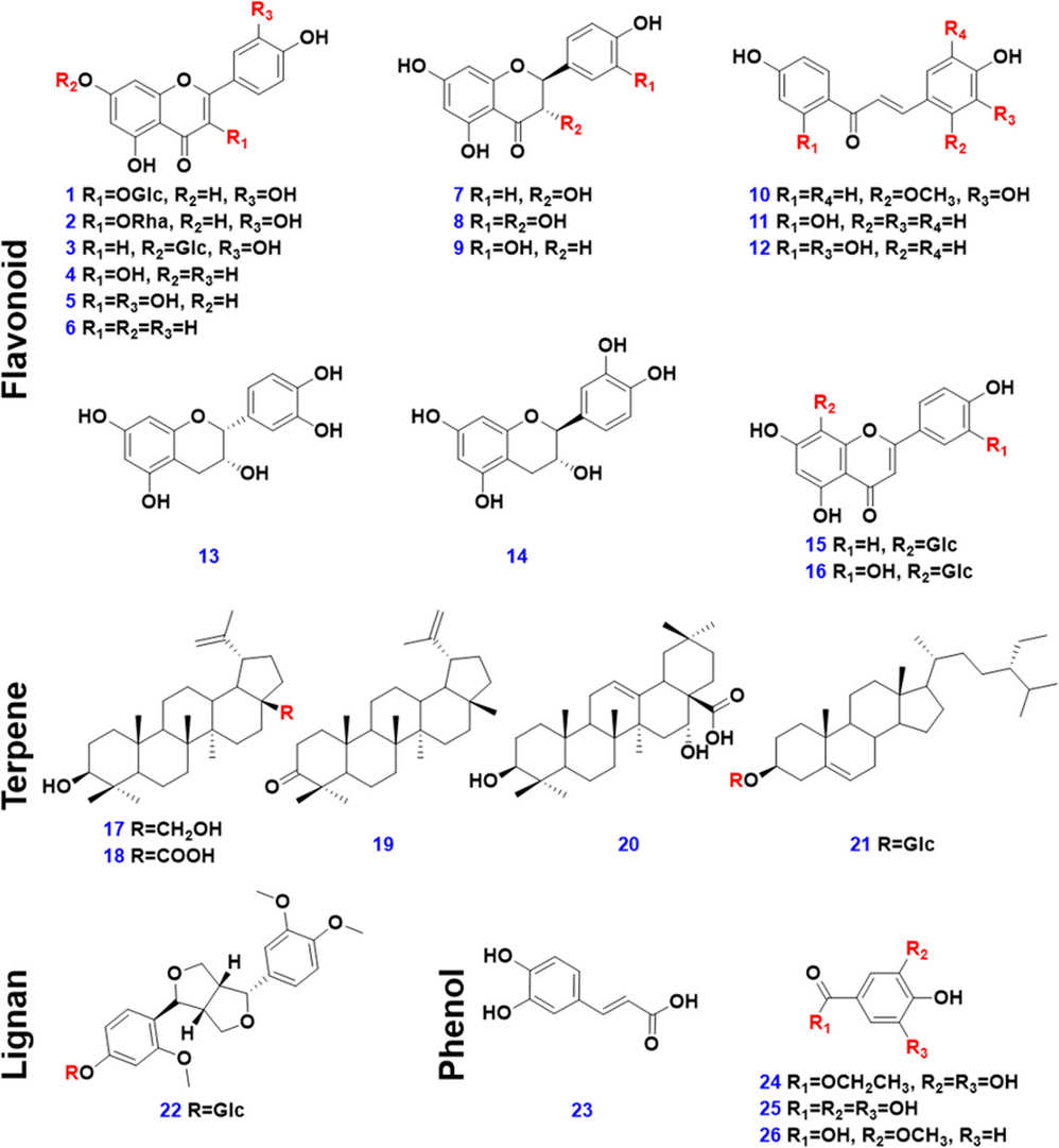 Chemical structures of the 26 reference compounds.