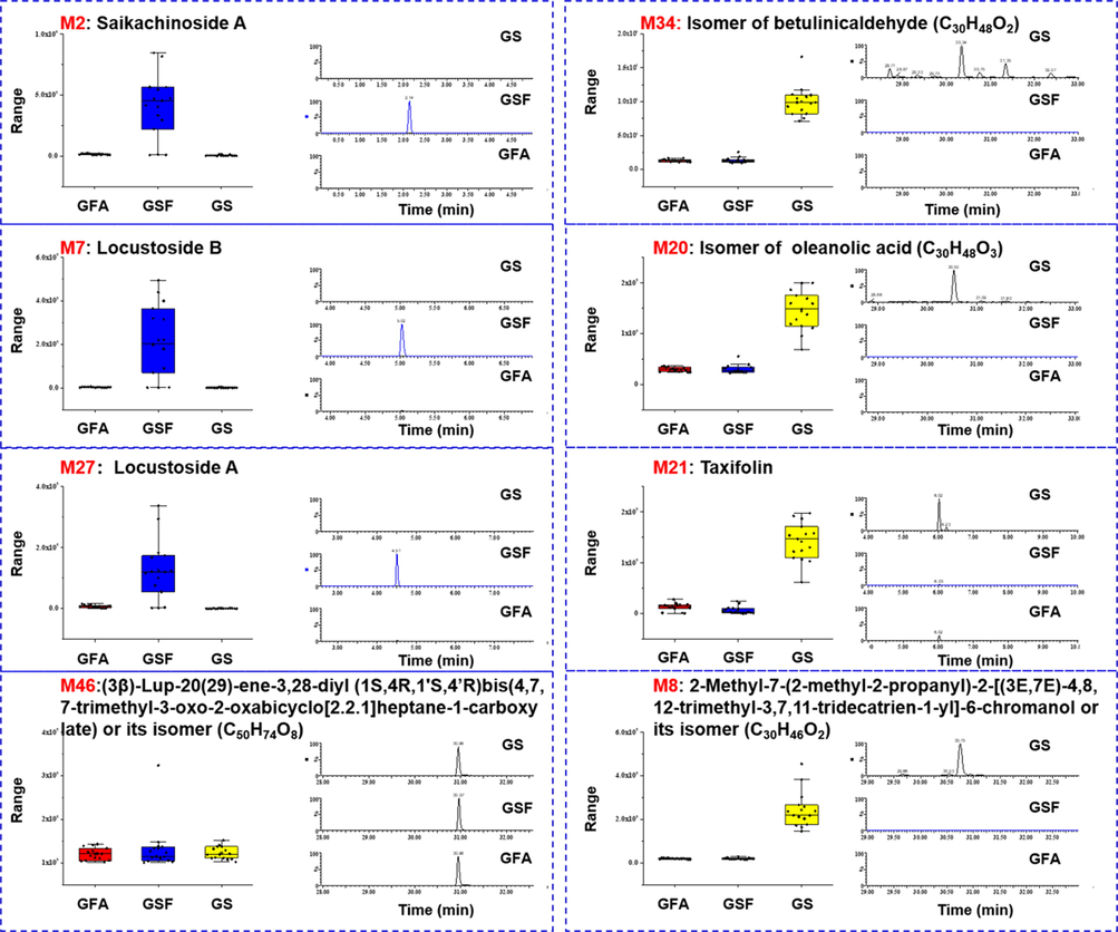 Box plots for the markers of GSF (M2#/M7#/M27#) and GS (M8#/M20#/M21#/M34#), and the corresponding extracted ion chromatograms (EICs) of three typical G. sinensis samples. M46 was used as the internal standard to calculate the peak area ratio.