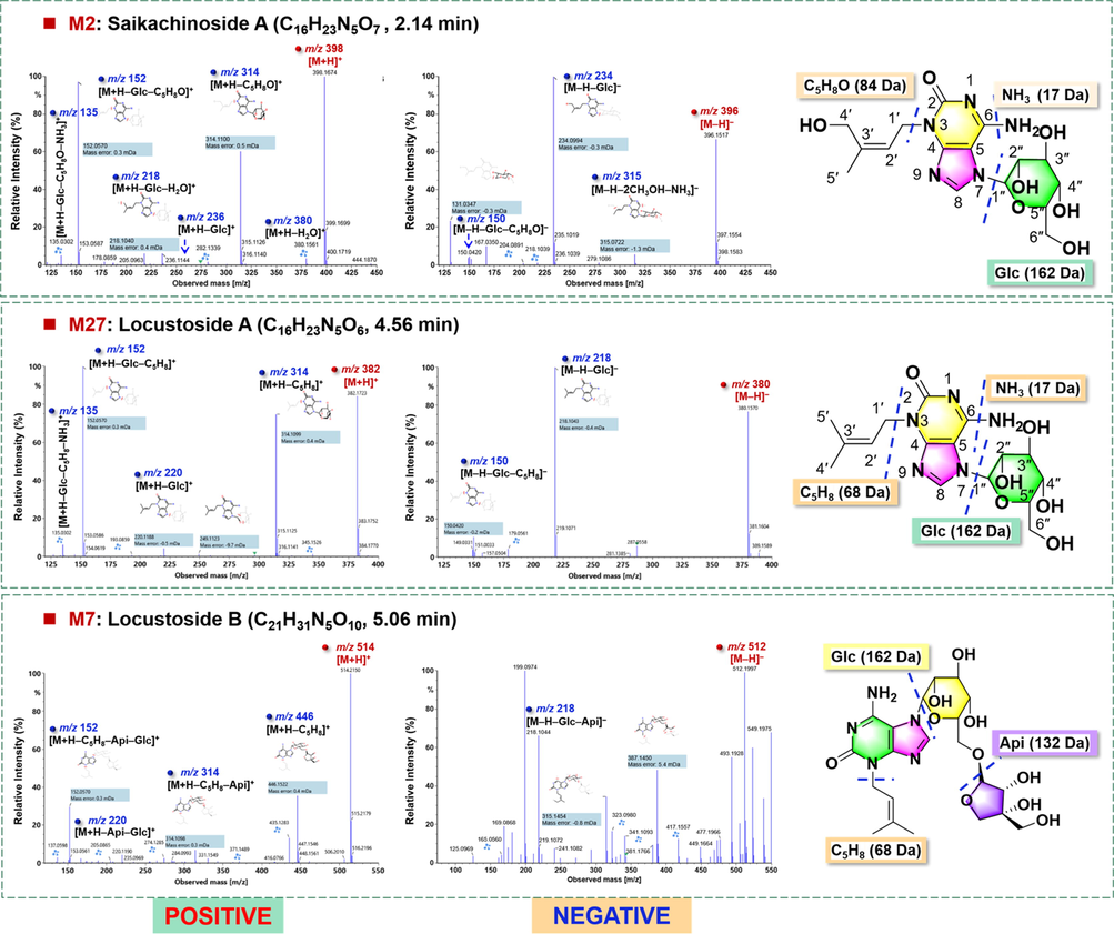 Fragmentation pathways analysis for the characterization of three marker compounds (M2#/M27#/M7#) for GSF.